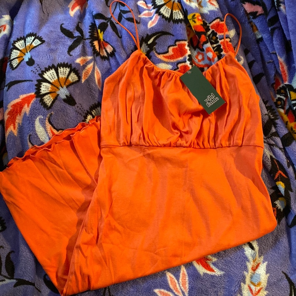 NWT wild fable dress